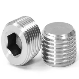  Hex Socket Pipe Plugs 