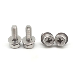 Combination screw